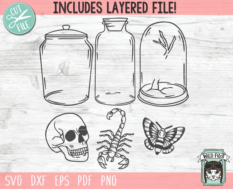 May include: A set of five black and white line art illustrations of a skull, a scorpion, a butterfly, a jar with a lid, and a jar with a lid and a dome top. The illustrations are on a pink and white background with the text "INCLUDES LAYERED FILE!" at the top and "SVG DXF EPS PDF PNG" at the bottom.