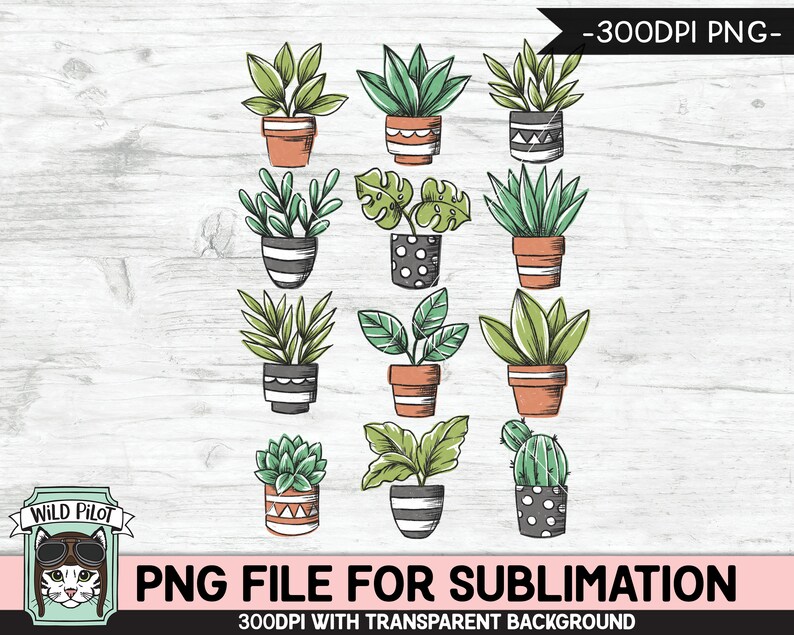 May include: Set of 12 hand-drawn illustrations of potted plants in various styles, including succulents, cacti, and leafy plants. The illustrations are in black and white with green accents and are set against a white woodgrain background.