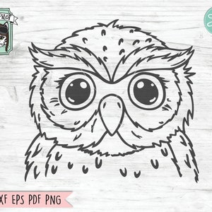 Owl svg file, Owl cut file, Bird svg, Cute Owl svg, Owl Face svg, Owl png, Owl Clipart, Animal svg file, Animal Face svg, Bird png