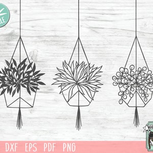 Hängende Pflanze SVG Datei, Topfpflanzen SVG Datei, Pflanzenschnitt Datei, Planters Clip Art, Garten, Garten, Blumentopf, Zimmerpflanze, Clipart Vektor