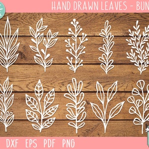 Puede incluir: Un conjunto de diez ilustraciones de hojas dibujadas a mano en blanco sobre un fondo de madera. Las hojas son de varios estilos y tamaños, y son perfectas para proyectos de manualidades.