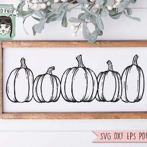 May include: A black and white line drawing of five pumpkins on a white background. The pumpkins are arranged in a row, with the largest pumpkin in the center.