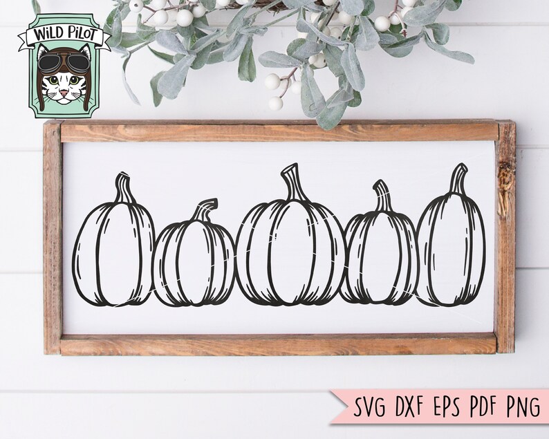 May include: A black and white line drawing of five pumpkins on a white background. The pumpkins are arranged in a row, with the largest pumpkin in the center.