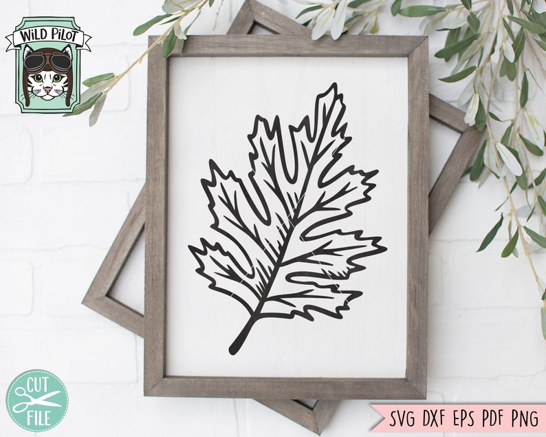 May include: Black and white line art illustration of a single oak leaf. The leaf is stylized and has a detailed vein pattern. The image is on a white background.