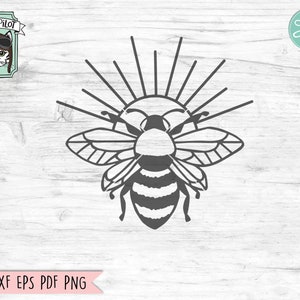Bee SVG SVG Cut File, Sun Bee SVG Cut File, Bee Kind SVG, Bee Kind svg, Bee Kind SVG, Bee Kind Cut File, Honey Bee svg