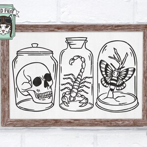 May include: Black and white line art illustration of three glass jars with lids. The jars contain a skull, a scorpion, and a butterfly. The jars are on a white background.
