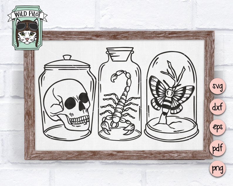 May include: Black and white line art illustration of three glass jars with lids. The jars contain a skull, a scorpion, and a butterfly. The jars are on a white background.