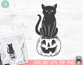 Cat on Pumpkin SVG, Jack O Lantern SVG, Pumpkin SVG, Halloween svg, Cat svg, Cat Clipart, Cat png, Jack O Lantern Clipart, Halloween png