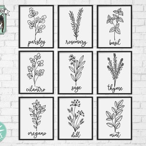 Herbs SVG, Herb cut files, Garden svg, Leaf cut file, Plant cut file, Herb set svg file, Kitchen svg, Gardening, Garden, Organic, Natural