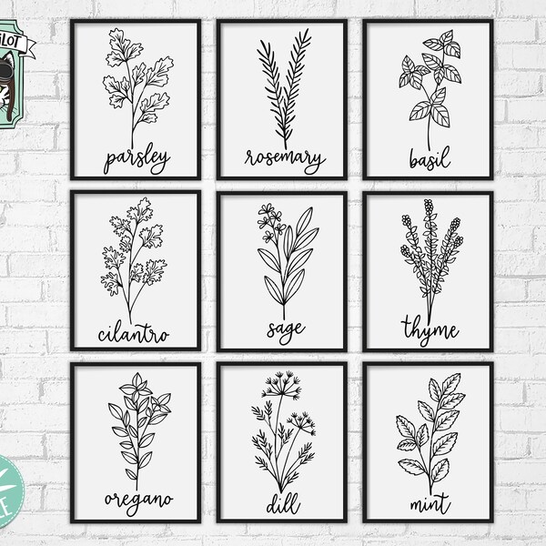 Herbs SVG, Herb cut files, Garden svg, Leaf cut file, Plant cut file, Herb set svg file, Kitchen svg, Gardening, Garden, Organic, Natural