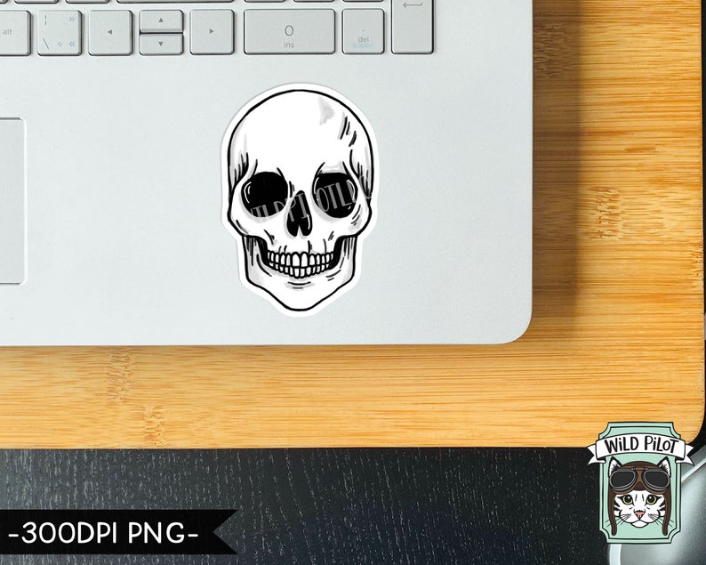 May include: A black and white illustration of a skull with the word "WILD PILOT" written across the eyes.
