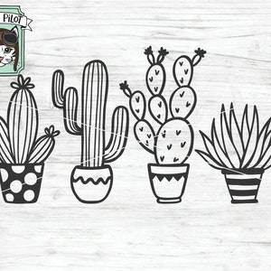 Archivo SVG de cactus, archivo SVG de suculentas, clip art de cactus, clipart de suculentas, vector de cactus, archivo de corte de cactus, cactus en maceta SVG, planta