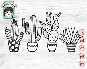 Cactus SVG file, Succulent svg file, Cactus clip art, Succulent Clipart, Cactus vector, Cactus cut file, cactus pot svg, plant