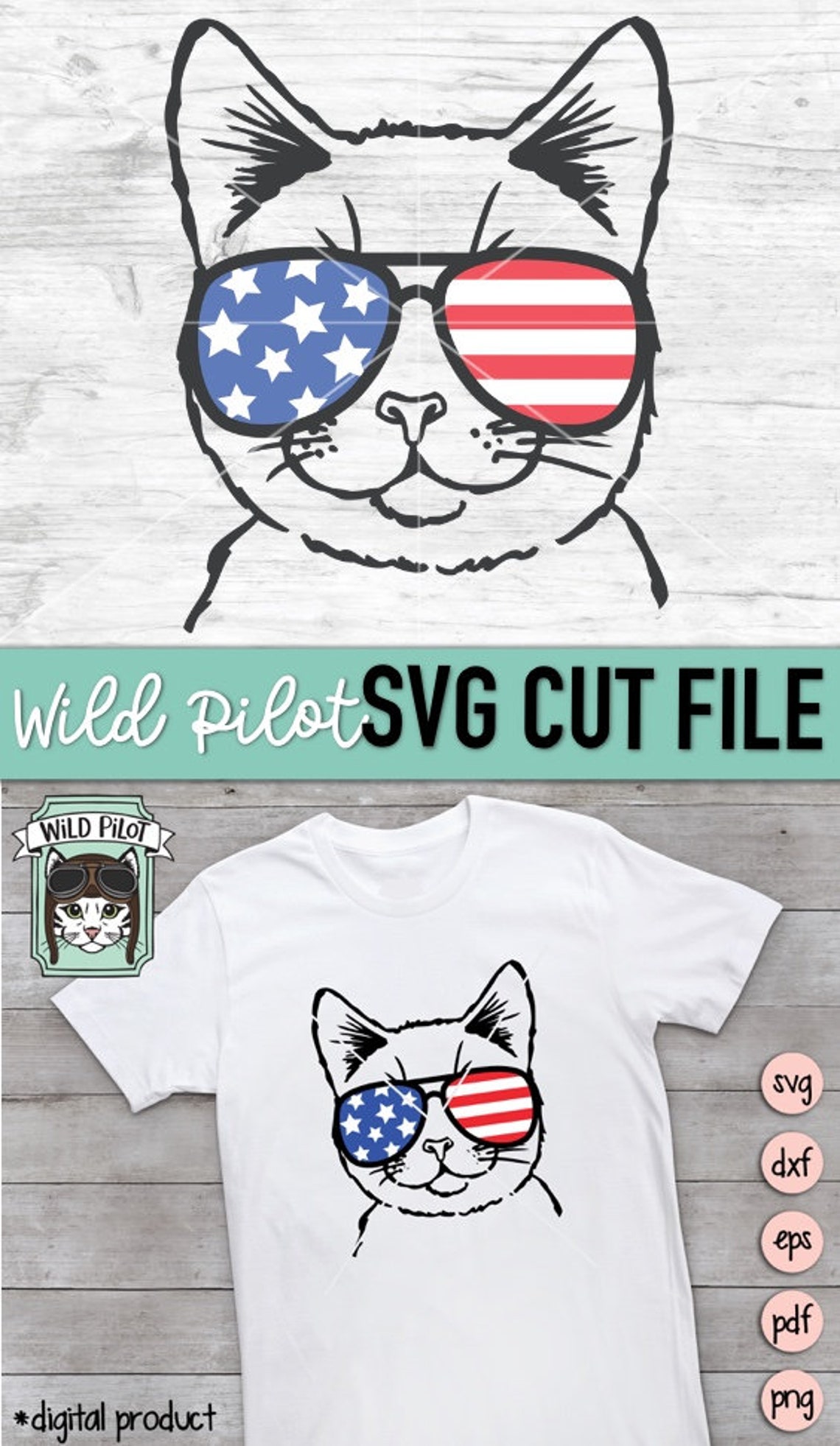 best july 4 cat photos