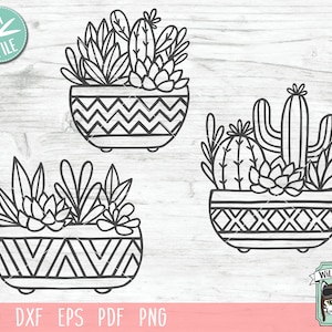 May include: Three black and white line drawings of potted succulents. The first pot has a chevron pattern, the second has a geometric pattern, and the third has a zig-zag pattern.