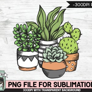 Cactus SUBLIMATION design PNG, Succulent PNG sublimation file, Plants sublimation, Cactus, Succulent sublimation designs, Plant Lover png