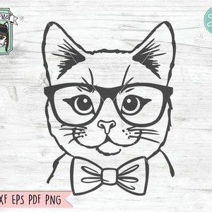 Baby Cute Cat Pink Hat Print Cat With Glasses PNG 