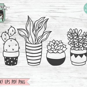 Op de afbeelding: Een set van vier potplanten, waaronder een cactus, een succulent en twee bladplanten. De planten staan in zwart-witte potten met verschillende patronen.