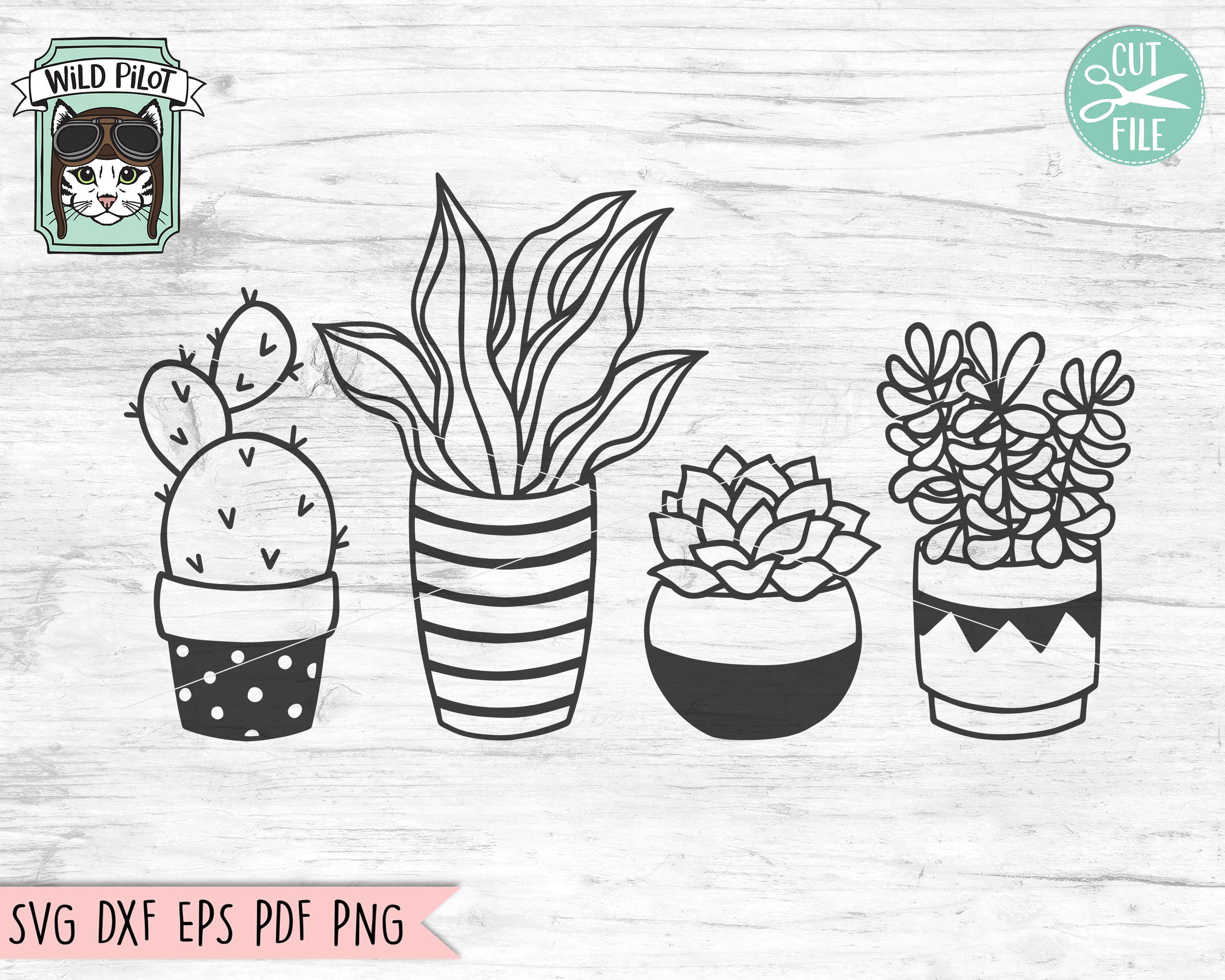 Cactus SVG File Succulent Svg File Plants Svg File Cactus - Etsy Canada