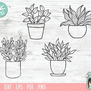 May include: Four black and white line drawings of potted plants. The plants are in different styles, including a succulent, a fern, and a leafy plant. The drawings are on a white woodgrain background.