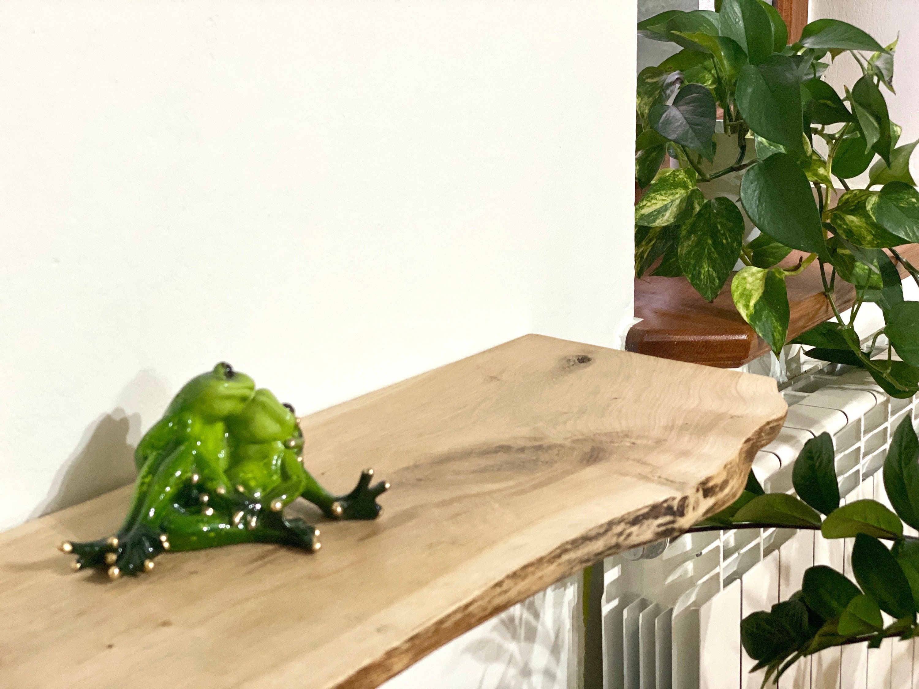 M45 2.8x22cm Live Edge Oak Shelf handmade Black Etsy UK