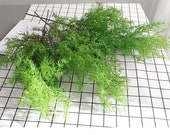 Snapdragon Artificial leaves pot planting faux plant money leaf wall hanging home decoration green planting potted artificial flowers LF