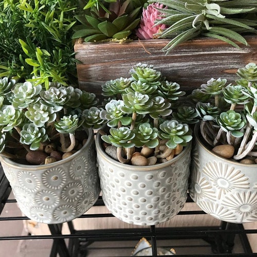 Fake Succulents 28 Artificial Mini Succulents in Green and Etsy