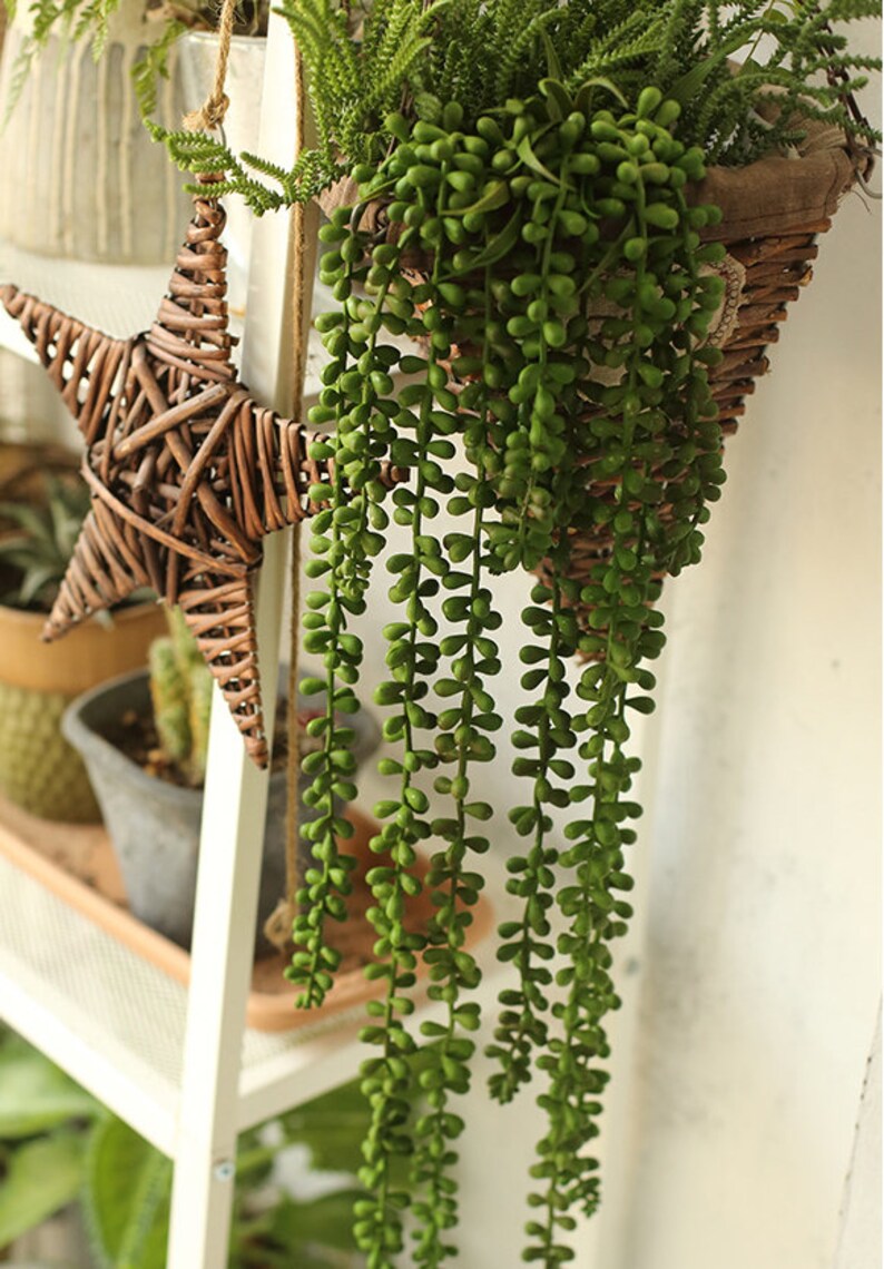 Artificial Succulents String of Pearls Artificial Plants Bulk Etsy