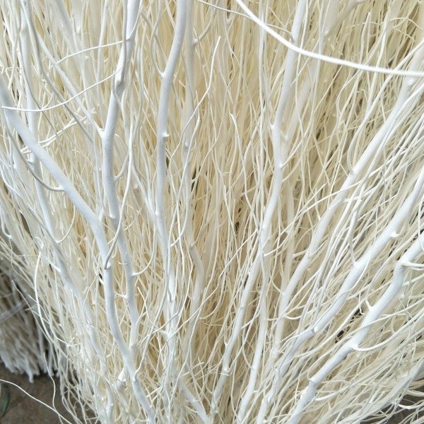 10 STEM 30" LONG Real White Willow decor - dried curly Willow, Stems, Sticks.floral arrangement table decor home office decor Wedding floral