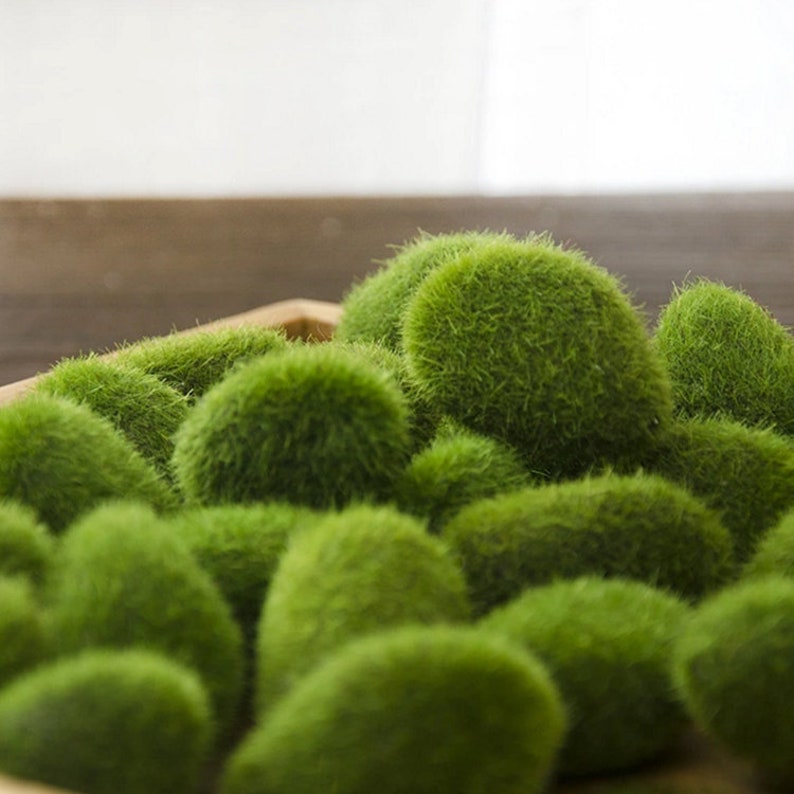 Artificial Planting Artificial Moss Ball Faux Plant Moss Etsy