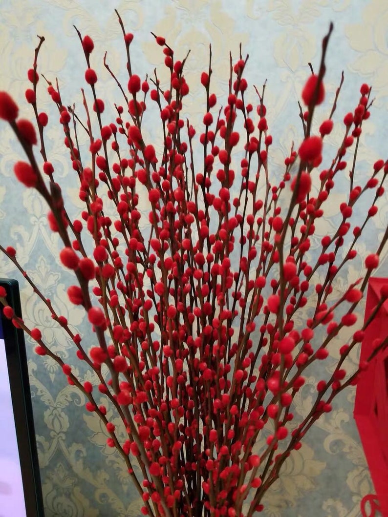 10 STEM 30 LONG Real red Willow decor FreshlyCut Etsy