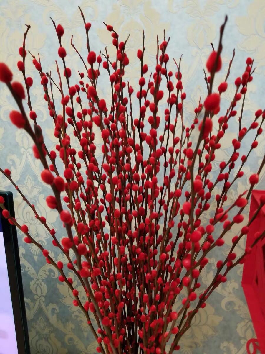 10 STEM 30 LONG Chinese Lunar New Year Flowers Red Etsy Canada