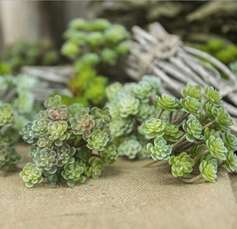 Fake Succulents Pick With 24/34 Artificial Mini Succulents Etsy UK