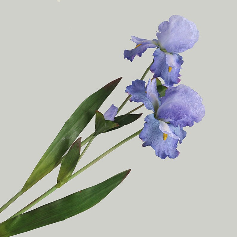 Big Real Touch Artificial Iris Flowers Blue Silk Iris Home Etsy