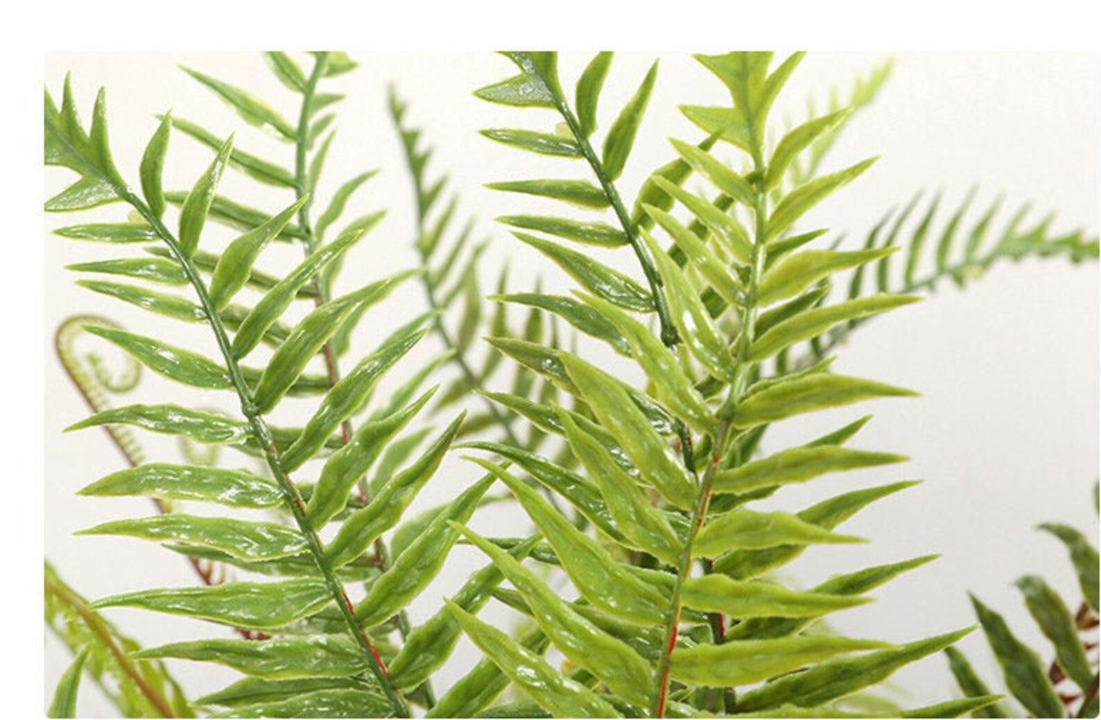 40cm Long Artificial Fern Plantartificial Bush Indoor Etsy