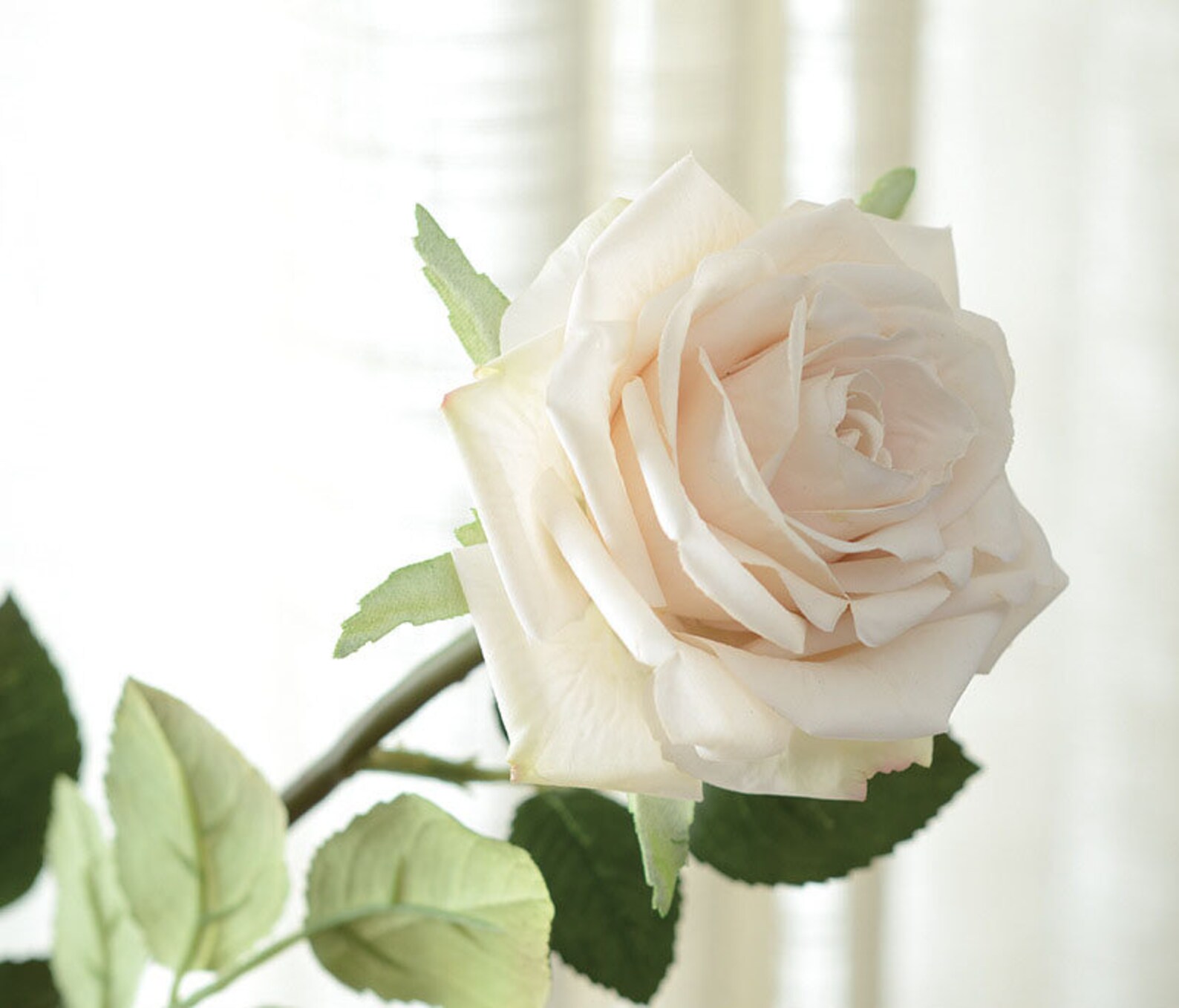 Real Touch Rose Flowers Stem Pink Rose Flowers Floral Etsy