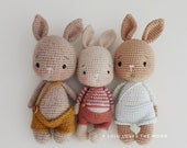 Häkelanleitung Bunny Pumpkin, nur deutsch, only german, häkeln, crochet, Hase, Häschen. Amigurumi, Kuschelhase