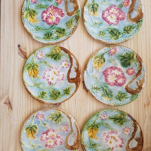 French Antique Majolica plates set of 6, attributed to Salins Manufacture circa 1870-1900 flowers decor