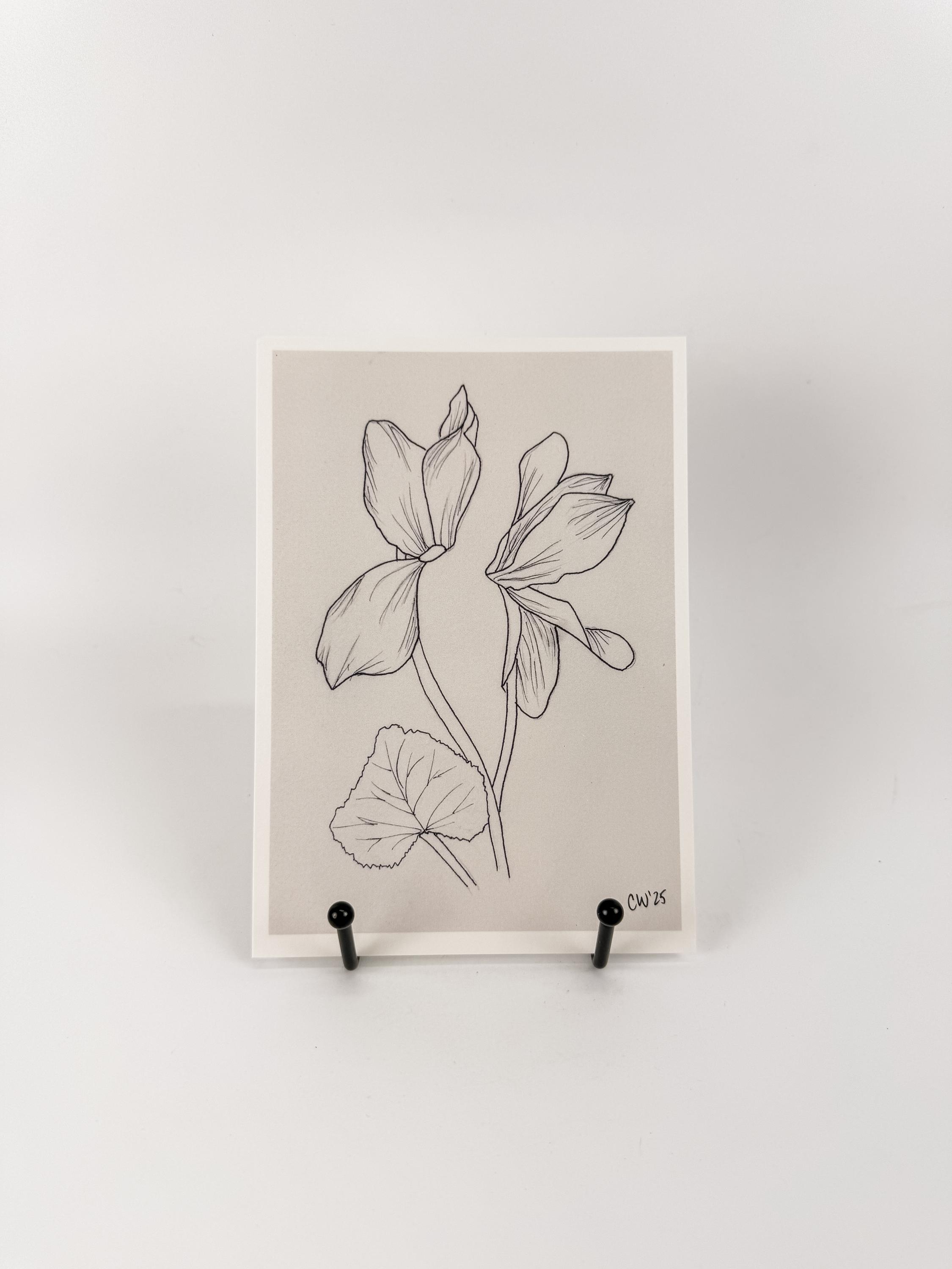 Cyclamen Flower Art Print, 5x7 Print Of Floral Drawing, Black And White Garden Inspired Wall Art