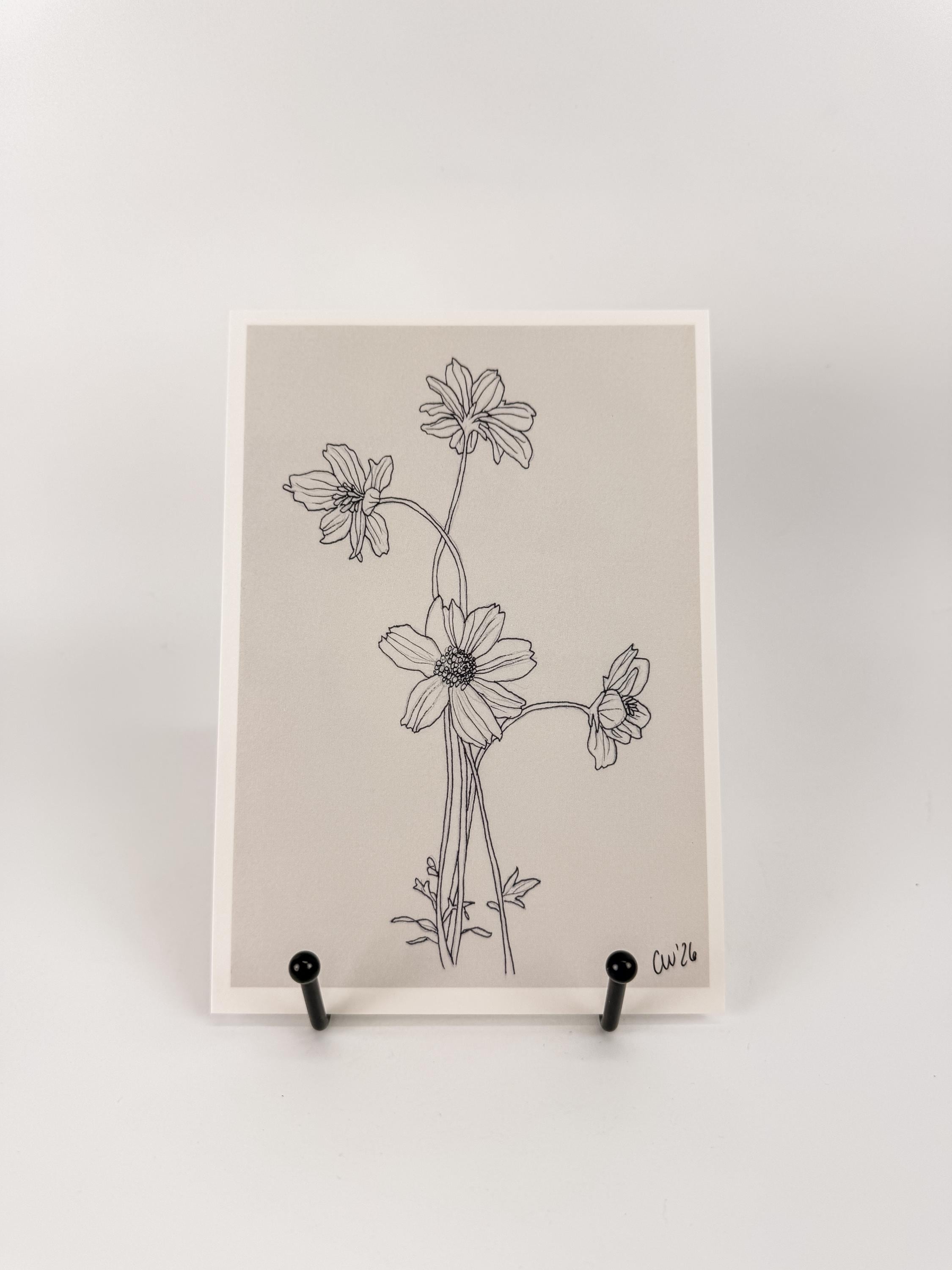 Cosmos Flower Art Print, 5x7 Print Of Floral Drawing, Black And White Garden Inspired Wall Art