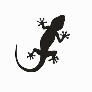Könnte beinhalten: Schwarze Silhouette eines Gecko-Leguan mit einem eingerollten Schwanz.