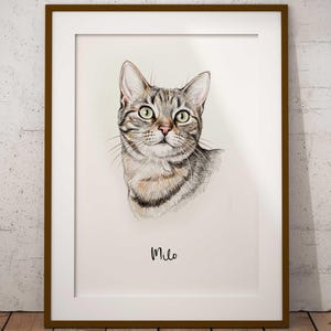 Puede incluir: Dibujo a lápiz enmarcado de un gato atigrado llamado Milo. El gato tiene ojos verdes y un pelaje rayado en tonos marrones y grises. La obra de arte se muestra en un passe-partout blanco y un marco de madera marrón.