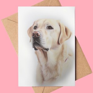 以下が含まれることがあります： ピンクの首輪をした白いラブラドールレトリバーの犬のクローズアップポートレート。犬はフレームの左側に優しい表情で見ています。背景は白です。