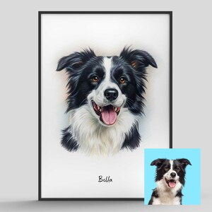 Puede incluir: Retrato enmarcado de un perro Border Collie con pelaje blanco y negro, ojos marrones y lengua rosada. El perro est&aacute; sonriendo. Una imagen m&aacute;s peque&ntilde;a del perro est&aacute; en la esquina inferior derecha. El nombre "Bella" est&aacute; escrito debajo.