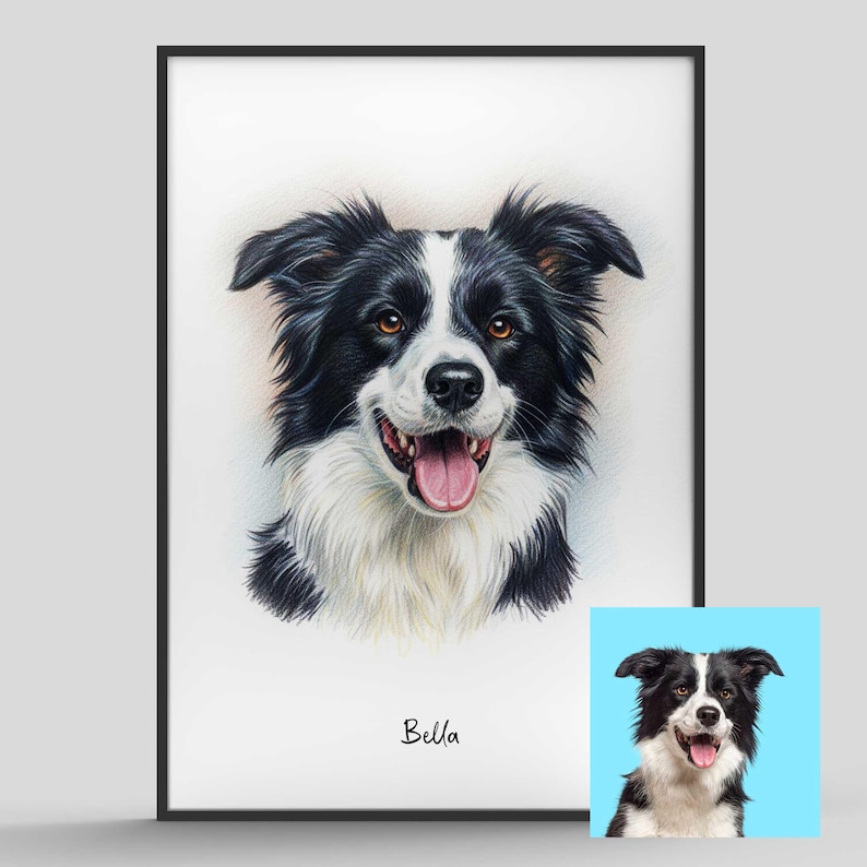 Puede incluir: Retrato enmarcado de un perro Border Collie con pelaje blanco y negro, ojos marrones y lengua rosada. El perro est&aacute; sonriendo. Una imagen m&aacute;s peque&ntilde;a del perro est&aacute; en la esquina inferior derecha. El nombre "Bella" est&aacute; escrito debajo.