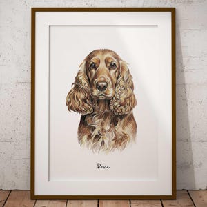 May include: A framed portrait of a Cocker Spaniel dog with brown and tan fur. The dog's name, "Rosie", is written in cursive at the bottom of the print. The artwork is displayed in a white mount and a brown wooden frame.
