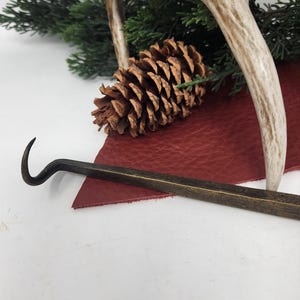 May include: A rustic still life featuring a brown pine cone, a curved metal tool, and a section of a deer antler. The objects rest on a piece of red leather and are set against a backdrop of green foliage.
