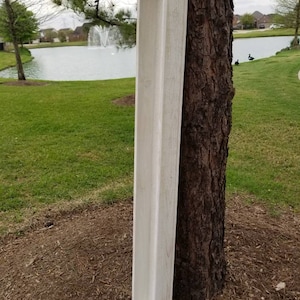 May include: A white wooden planter box with a rectangular shape. The planter is standing upright against a tree trunk.