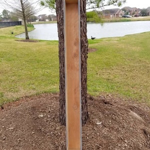May include: A long, narrow wooden planter box with a light blue painted edge. The planter is leaning against a tree trunk in a grassy area.