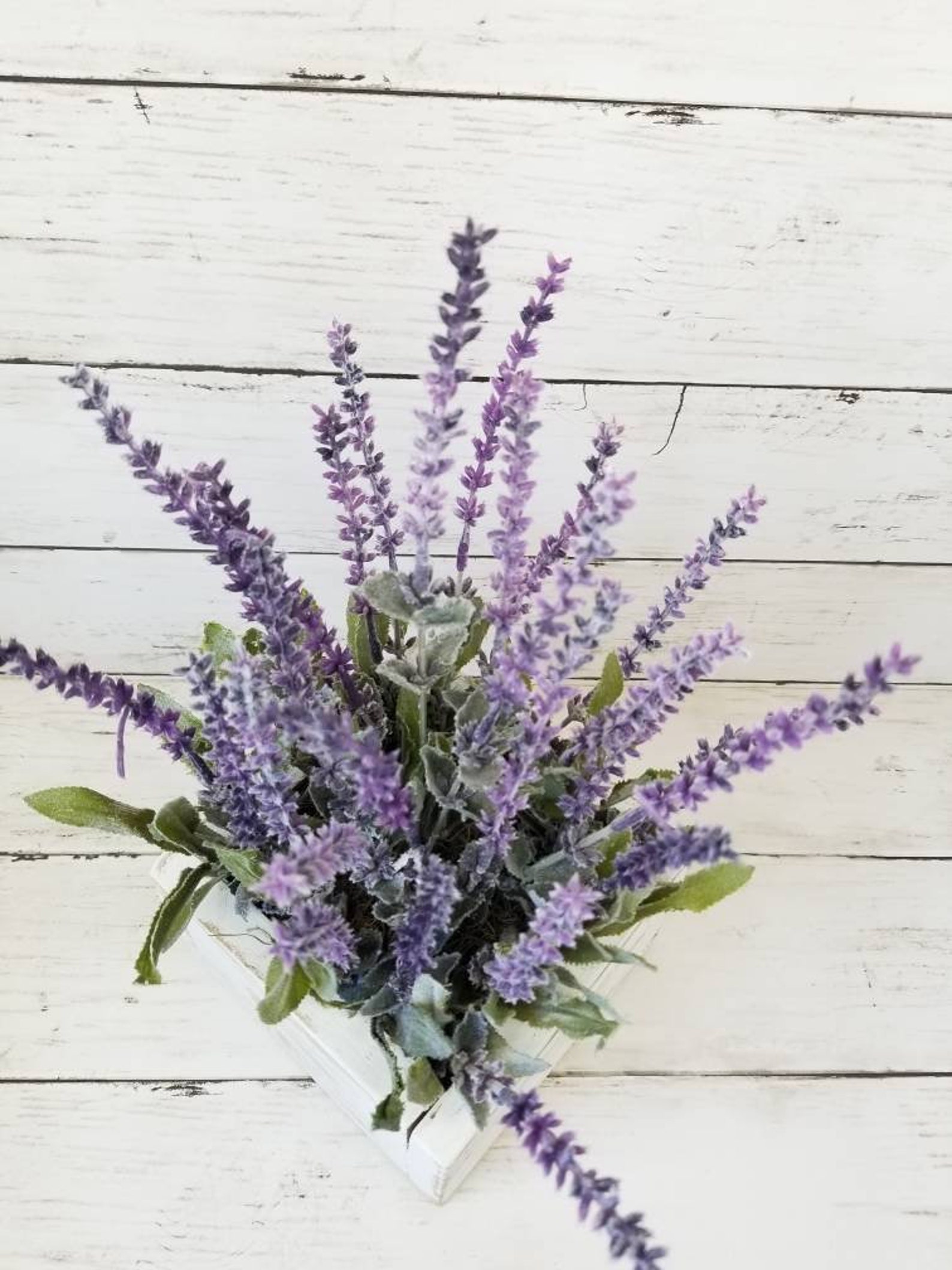 Lavender Centerpiece Lavender Decor Lavender Nursery Decor Etsy